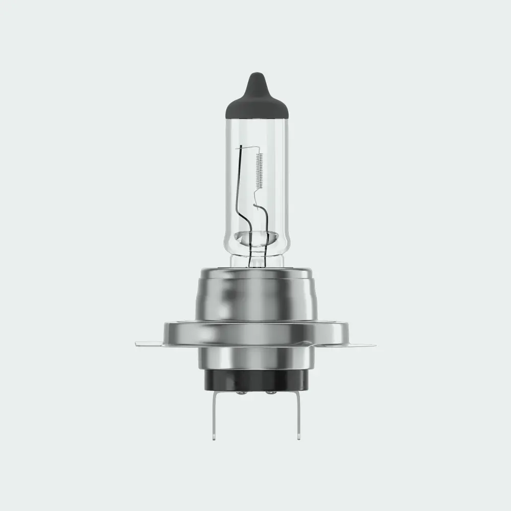 H7 Halogen Bulb